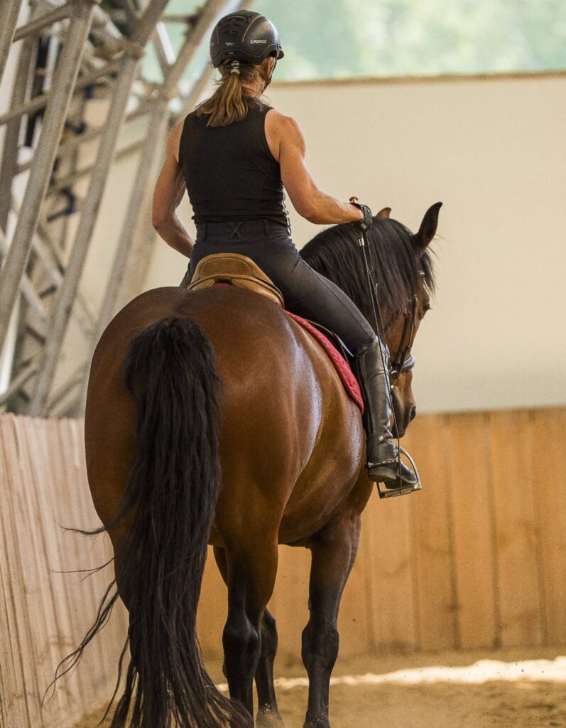 bildergalerie-reitunterricht-beritt-melanie-gotthelf (12)