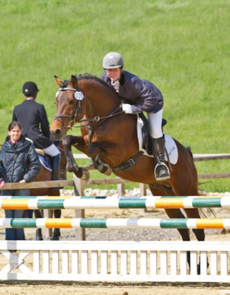 bildergalerie-reitunterricht-beritt-melanie-gotthelf (17)
