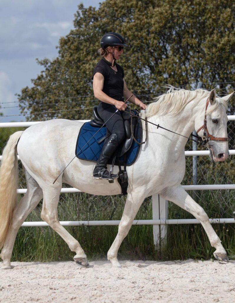 bildergalerie-reitunterricht-beritt-melanie-gotthelf (18)