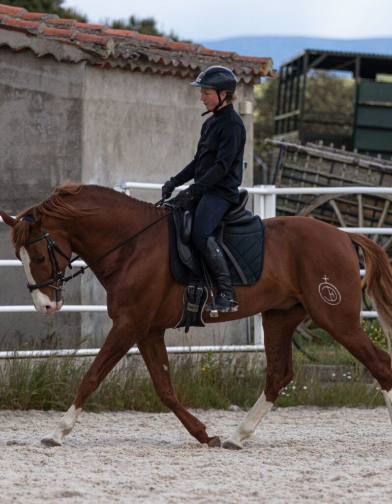 bildergalerie-reitunterricht-beritt-melanie-gotthelf (20)