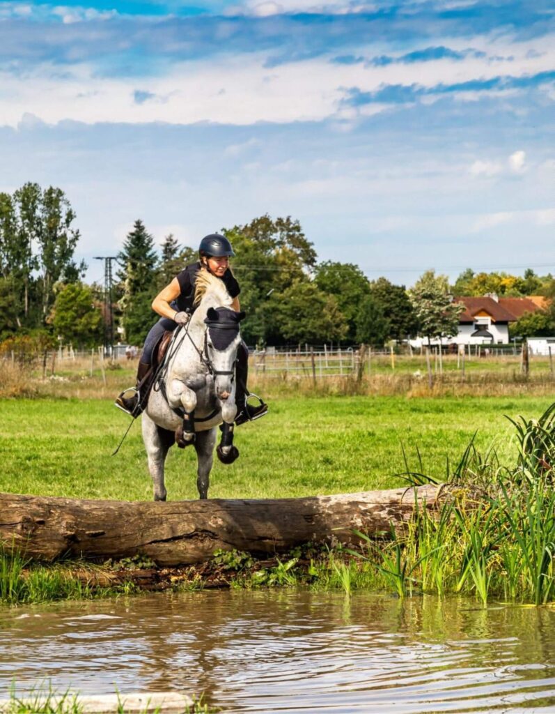 bildergalerie-reitunterricht-beritt-melanie-gotthelf (4)