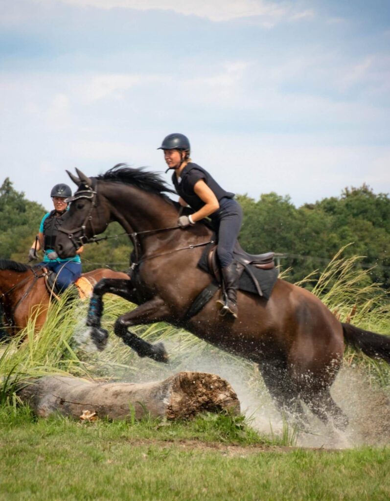 bildergalerie-reitunterricht-beritt-melanie-gotthelf (5)
