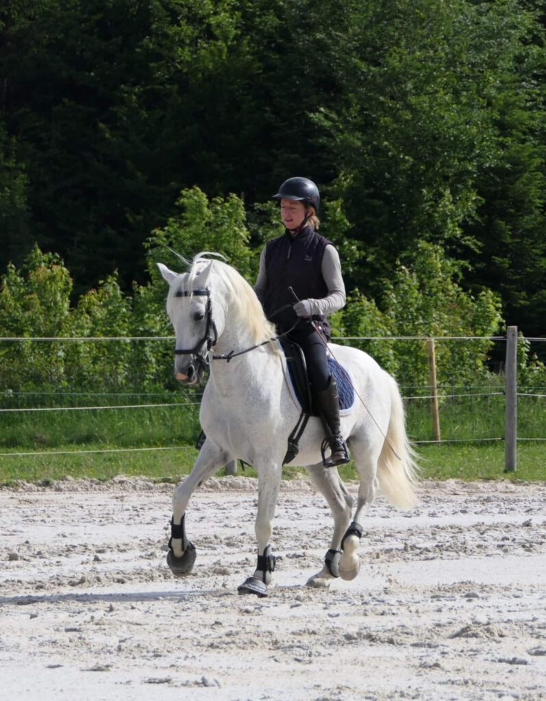 bildergalerie-reitunterricht-beritt-melanie-gotthelf (6)
