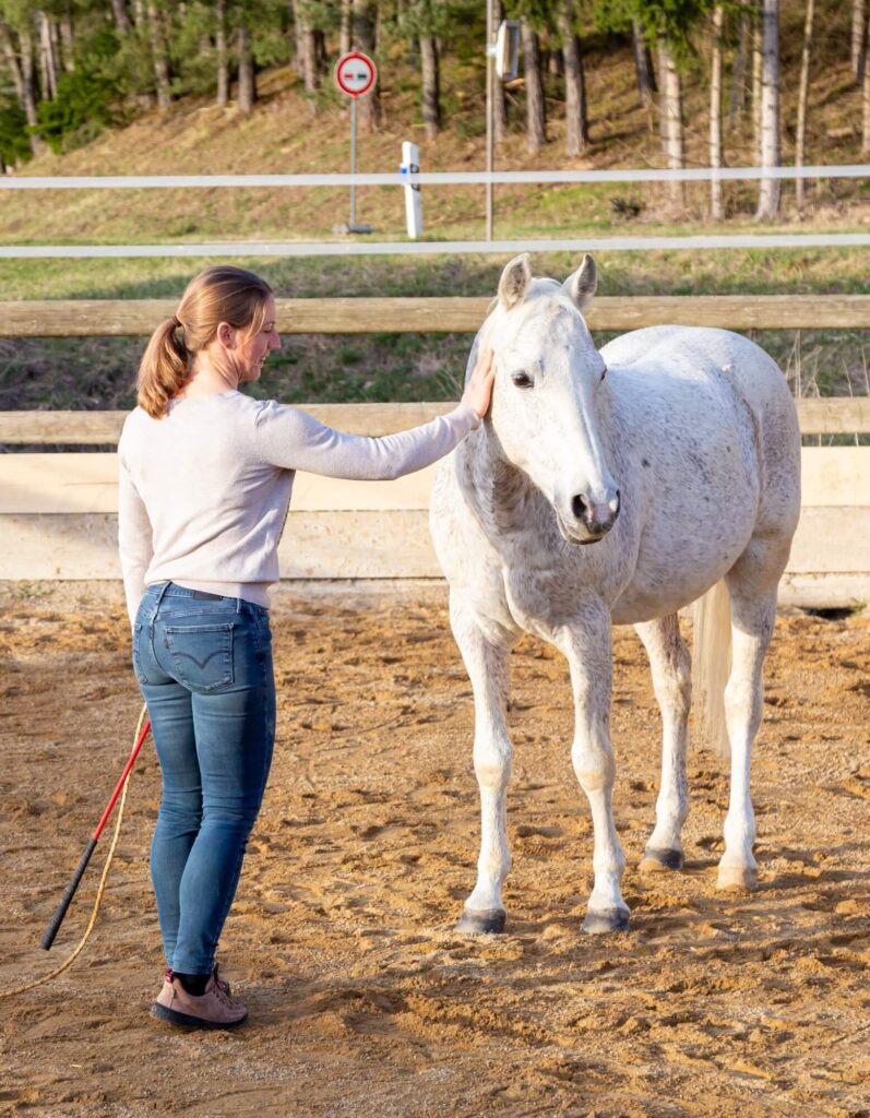 bildergalerie-reitunterricht-beritt-melanie-gotthelf (7)