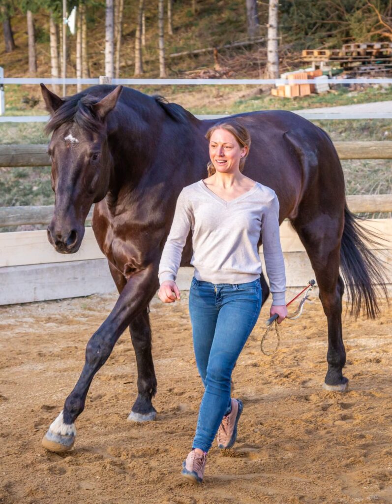 bildergalerie-reitunterricht-beritt-melanie-gotthelf (8)